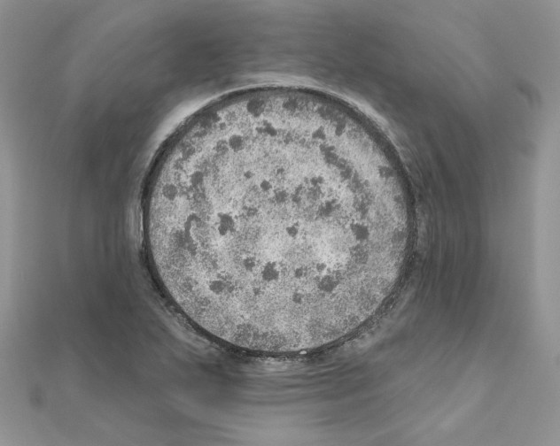 X0000110981271200907310942