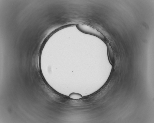 X0000110981272200907310942