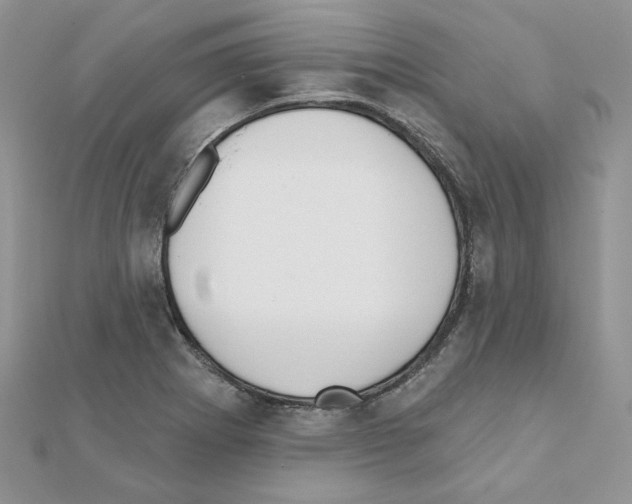 X0000110981273200907310942