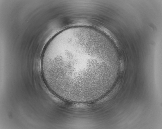 X0000110981274200907310942