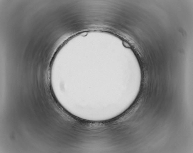 X0000110981275200907310942