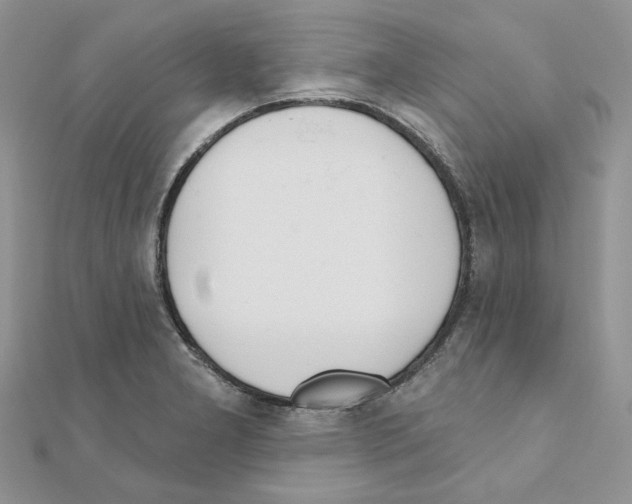 X0000110981277200907310942