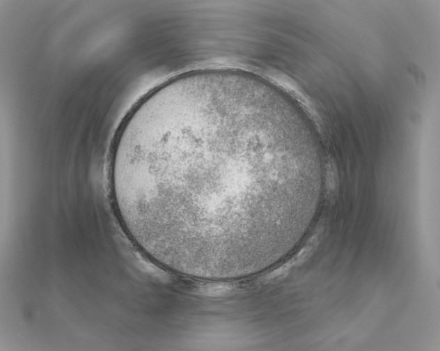 X0000110981278200907310942
