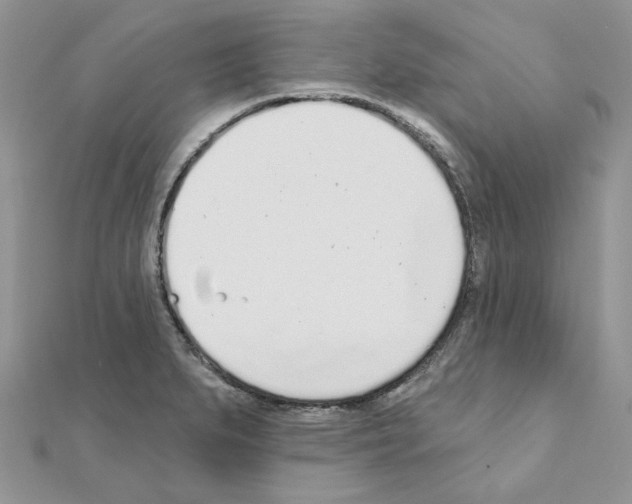 X0000110981279200907310942