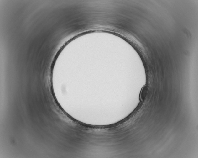 X0000110981280200907310942
