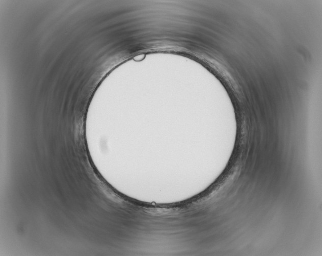 X0000110981281200907310942