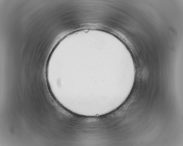 X0000110981283200907310942