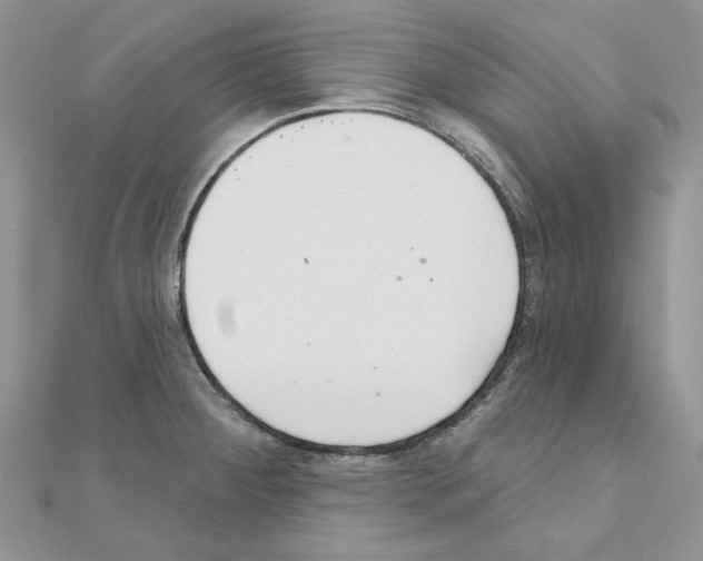 X0000110981284200907310942