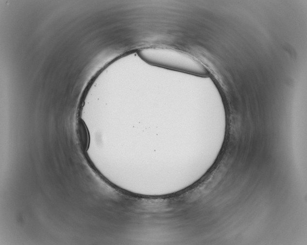 X0000110981285200907310942