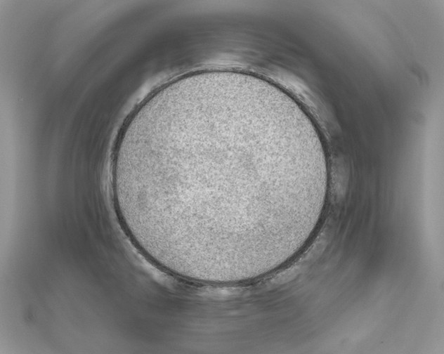 X0000110981286200907310942