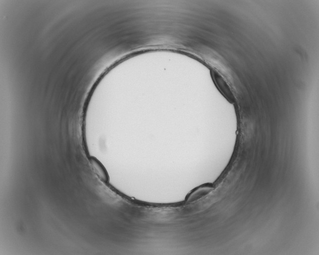 X0000110981288200907310942