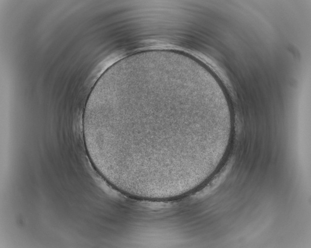 X0000110981289200907310942