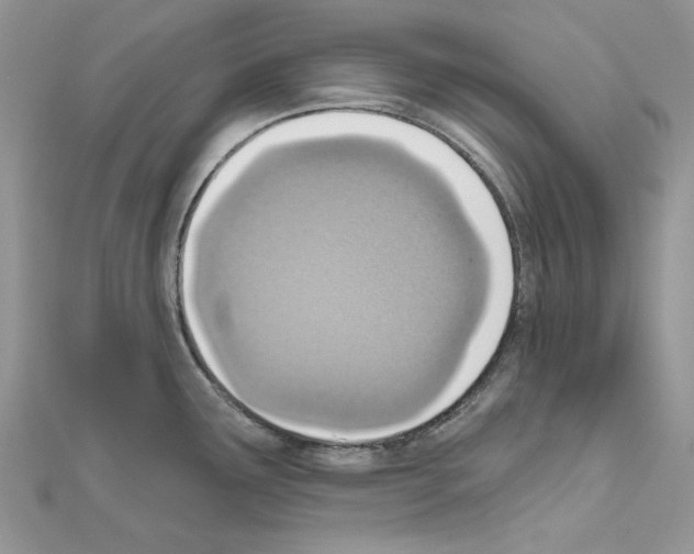 X0000110981291200907310942