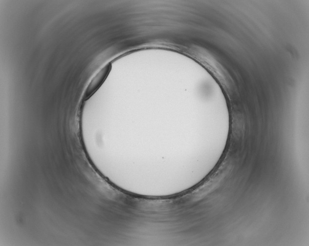 X0000110981292200907310942