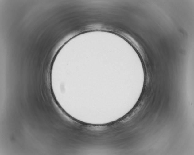 X0000110981293200907310942