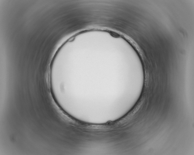 X0000110981295200907310942