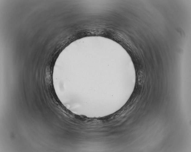 X0000110981298200907310941