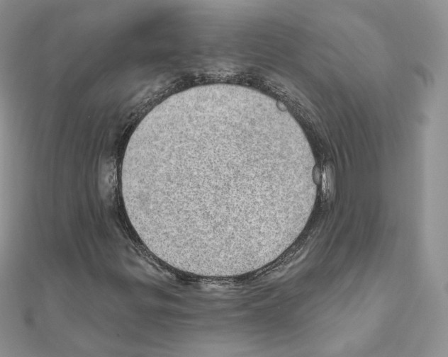 X0000110981299200907310941