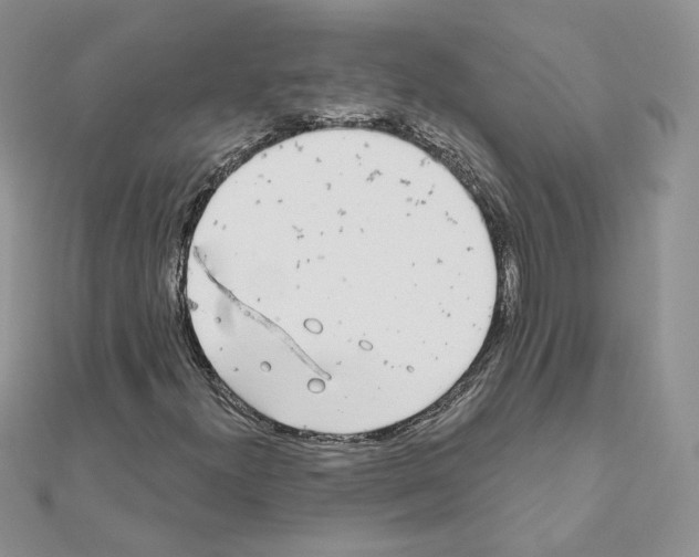 X0000110981300200907310941