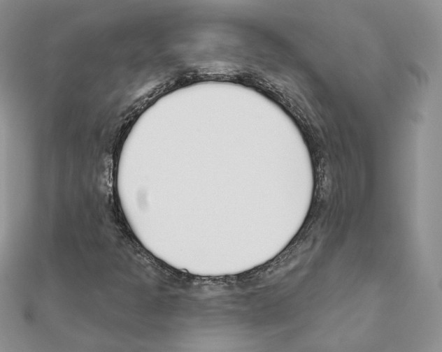 X0000110981301200907310941