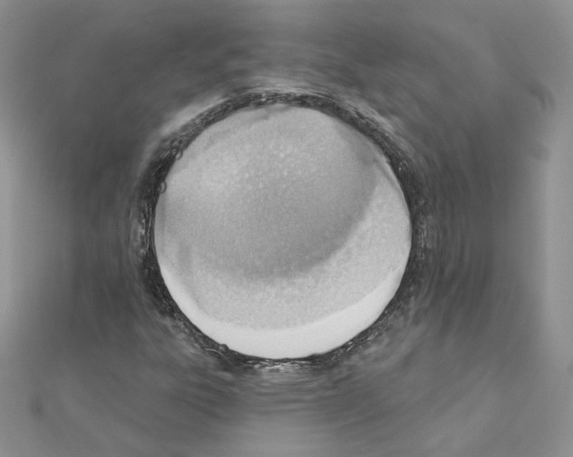 X0000110981303200907310941