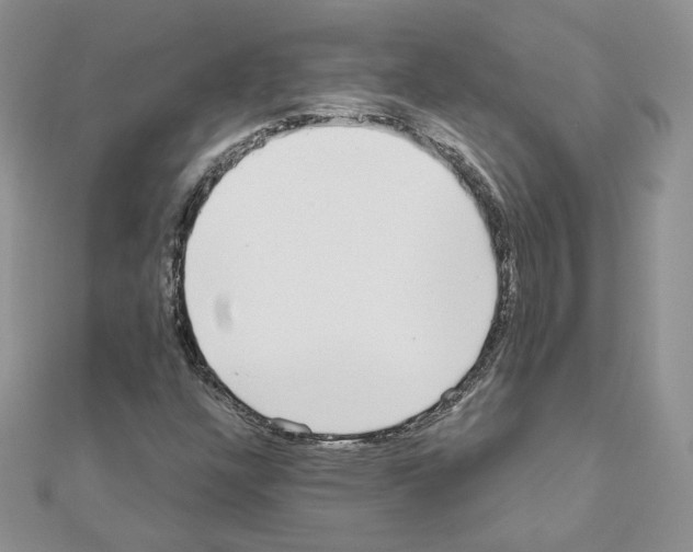 X0000110981304200907310941