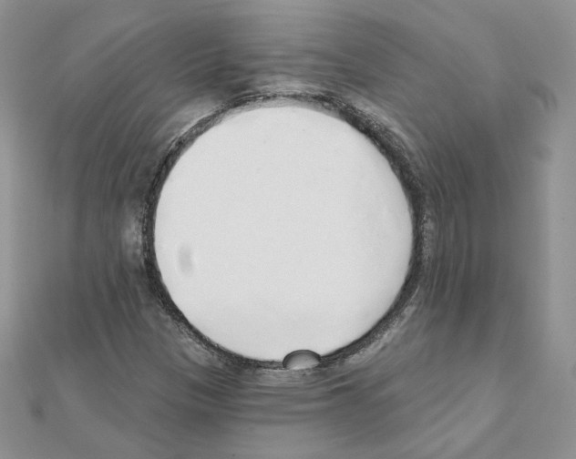 X0000110981305200907310941