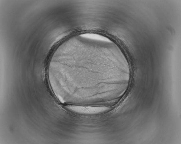 X0000110981306200907310941