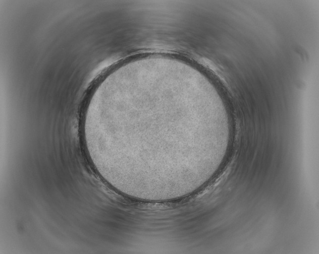X0000110981307200907310941