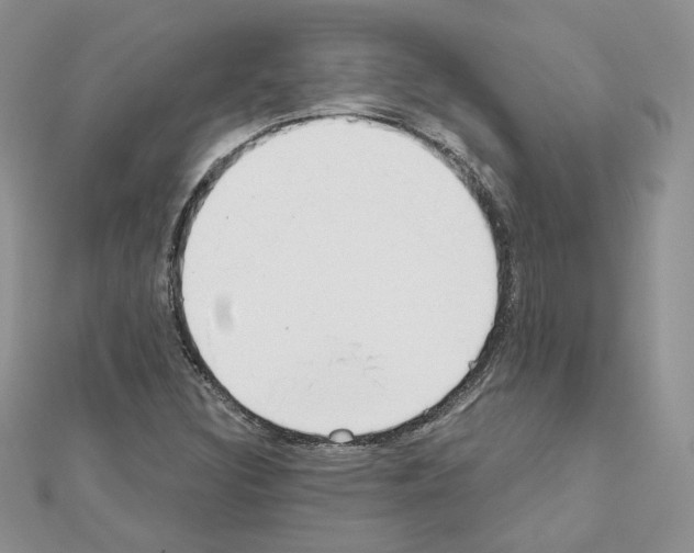 X0000110981308200907310941
