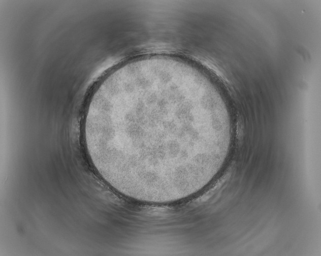 X0000110981309200907310941
