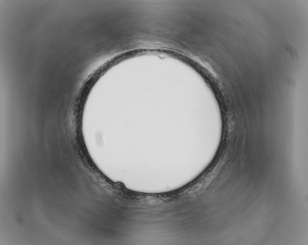 X0000110981311200907310941