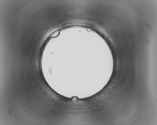 X0000110981312200907310941