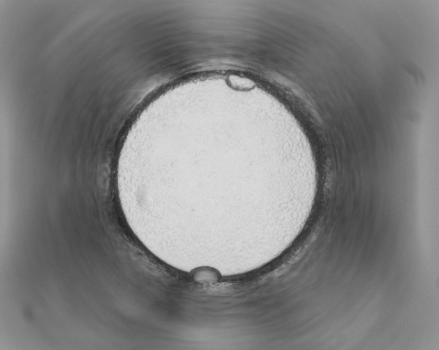 X0000110981313200907310941