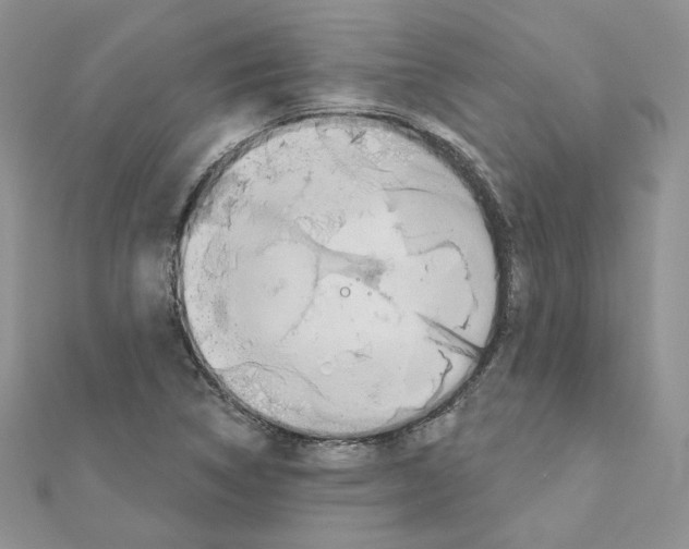 X0000110981314200907310941