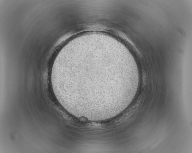 X0000110981315200907310941