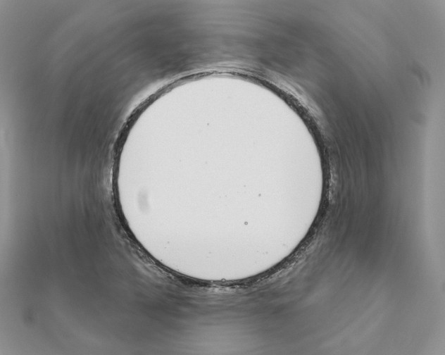 X0000110981316200907310941