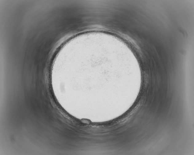 X0000110981318200907310941