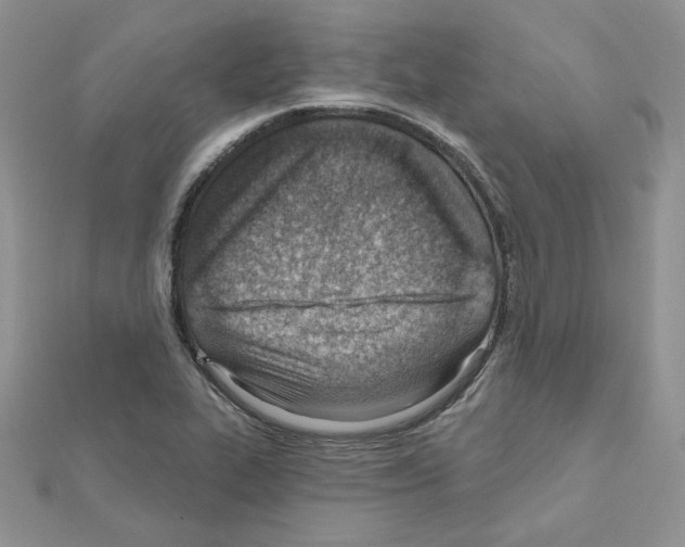 X0000110981319200907310941