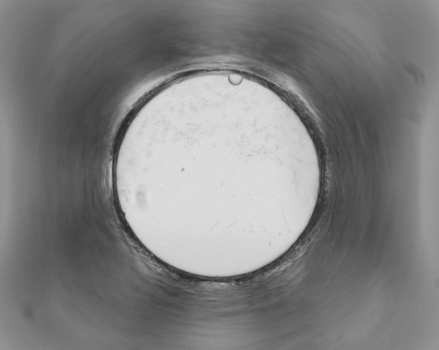 X0000110981320200907310941