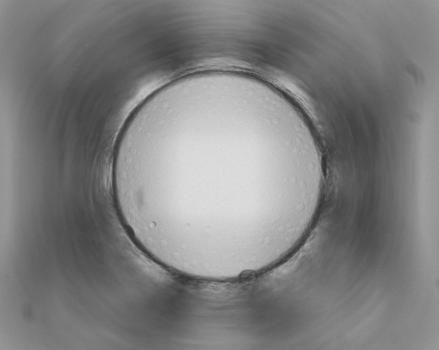 X0000110981322200907310941