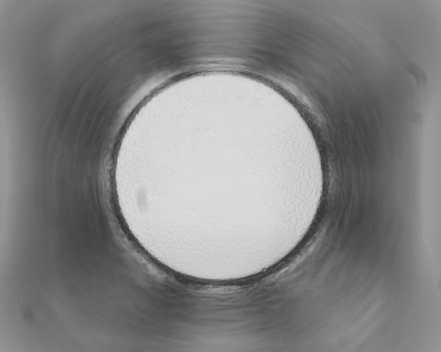 X0000110981325200907310941