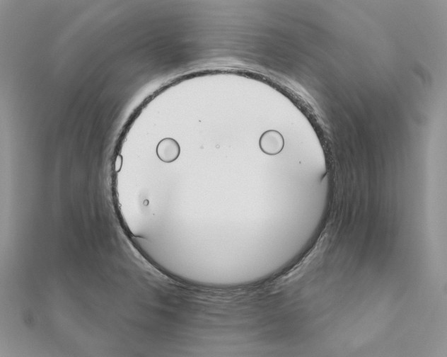X0000110981326200907310941