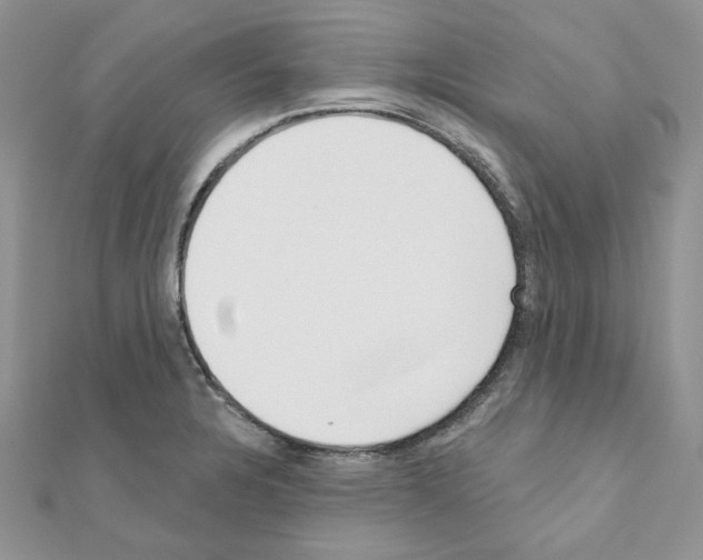 X0000110981328200907310942
