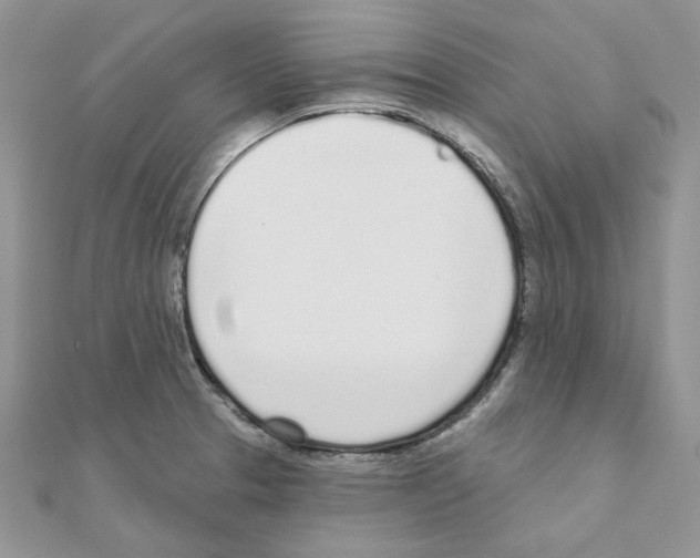 X0000110981329200907310942