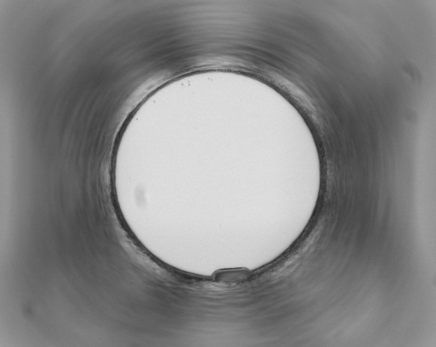 X0000110981330200907310942