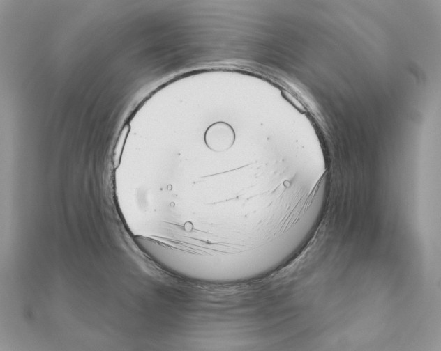 X0000110981332200907310942
