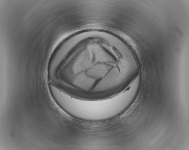 X0000110981334200907310942