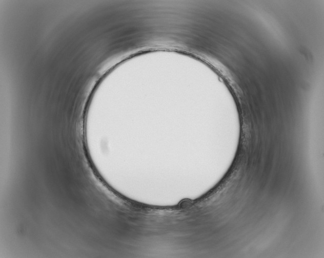 X0000110981335200907310942