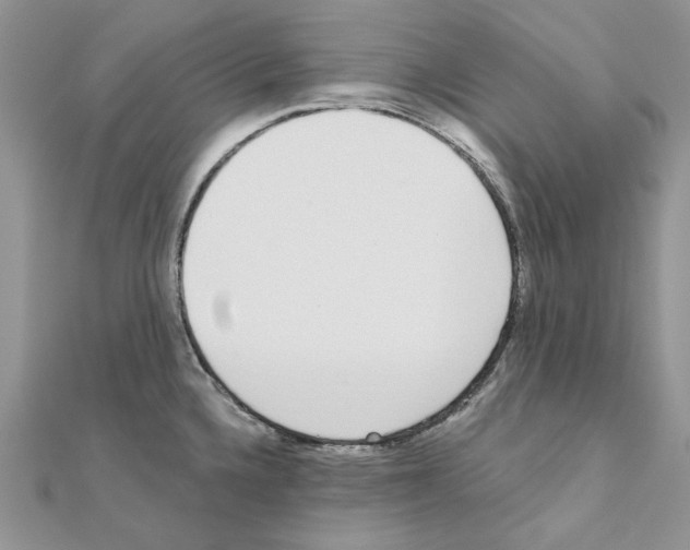 X0000110981336200907310942